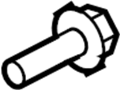 View Door Hinge Bolt (Upper, Lower) Full-Sized Product Image
