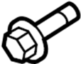 View Bolt.  Full-Sized Product Image