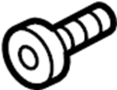 View Tie Down Hook Screw Full-Sized Product Image