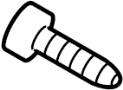 View Screw. Molding. Trim. Door. (Rear, Lower) Full-Sized Product Image