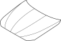 Hood Panel