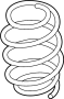Coil Spring (Rear)