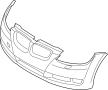 Bumper Cover (Lower)