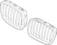 51138402645 Grille (Left, Front)
