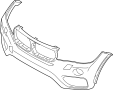 Bumper Cover (Lower)