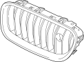51137373688 Grille (Left)