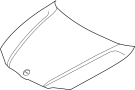 41617325866 Hood Panel