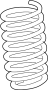 Coil Spring (Rear)