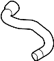 17129802098 Hose. (Upper, Lower)