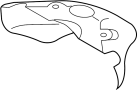 View Exhaust Manifold Heat Shield (Right) Full-Sized Product Image
