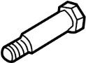 Alignment Camber Adjusting Eccentric Bolt (Lower)