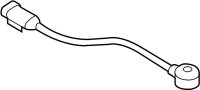View Ignition Knock (Detonation) Sensor (Right) Full-Sized Product Image