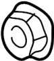View Nut.  Full-Sized Product Image