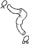 View Power Steering Reservoir Hose Full-Sized Product Image