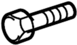 View Screw TAPP. Full-Sized Product Image