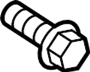 View Screw SWAGE. Screw Tapping. Wheel Well Liner Screw.  Full-Sized Product Image