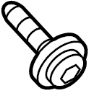 View Screw SWAGE. Screw Tapping. Wheel Well Liner Screw.  Full-Sized Product Image