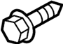 View Engine Water Pump Pulley Bolt Full-Sized Product Image