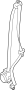 Image of Seat Belt Lap and Shoulder Belt (Left, Front) image for your 2020 Nissan Frontier Crew Cab SV 3.8L V6 AT 2WD 