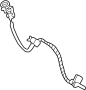 Engine Crankshaft Position Sensor