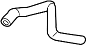 Radiator Coolant Hose (Front, Lower)