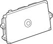 Engine Control Module (ECM). A module in a vehicle.