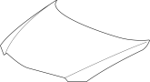 Hood Panel