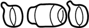 View Drive Shaft Damper Full-Sized Product Image