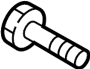 View Engine Water Pump Bolt Full-Sized Product Image