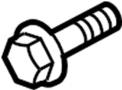 View Bolt.  Full-Sized Product Image