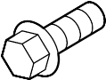View Bolt. Horn.  Full-Sized Product Image