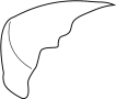 Seat Cushion Pad (Rear)