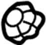 View Sunroof Opening Trim Nut Full-Sized Product Image 1 of 2