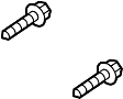 View Screw. Handle. Interior. Door. Pull. inside. OVAL - HEAD 4X16.  Full-Sized Product Image