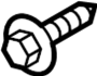 View Bolt. (Front, Rear, Lower) Full-Sized Product Image