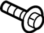 PAF009189 Door Hinge Bolt (Upper, Lower)