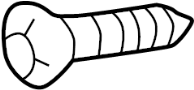 Image of License Plate Light Assembly Screw image