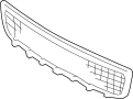 Image of Grille, Radiator. (Lower) image for your Scion