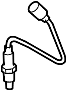 View Oxygen Sensor Full-Sized Product Image