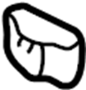 Image of Back Glass Insulator image for your 1999 TOYOTA TACOMA