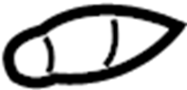 Image of Bulb. Map. Light. Lamp. Dome.  A Light Bulb for a Dome. image for your 2024 TOYOTA LAND CRUISER