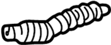 Image of Fuel. Filler. Pipe. Hose. (Front, Lower). Fuel Filler Neck. Hose. image for your 2009 Toyota RAV4 3.5L V6 A/T 4WD Sport Sport Utility 