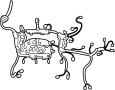 Image of Engine Wiring Harness image for your 2019 Toyota Prius   