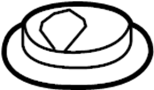 View Plate. Fuel. (Upper) Full-Sized Product Image