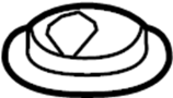 View Plate. Fuel. (Upper) Full-Sized Product Image