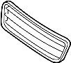 View Grille, Radiator. (Lower) Full-Sized Product Image