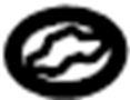 Image of SHEET, HEATER CONTROL NAME, NO.1. DK.GRAY,TRIM9# image for your 2017 TOYOTA SIENNA