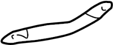 View 5229530041 Full-Sized Product Image for your 2017 Lexus IS350   