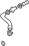 View Radiator Coolant Hose (Upper) Full-Sized Product Image