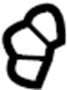 View Sunroof Drain Hose Clip (Rear) Full-Sized Product Image 1 of 1